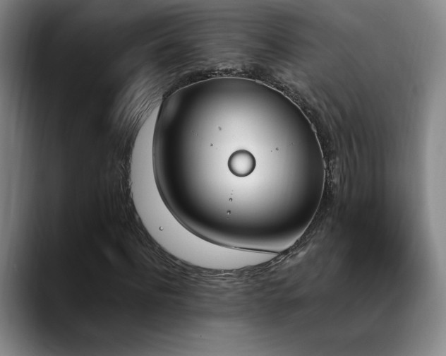 X0000089390916200706151219