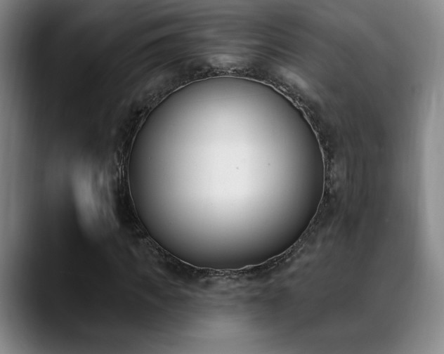 X0000089390917200706151219