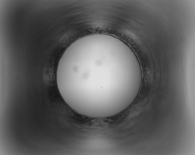 X0000089390918200706151219