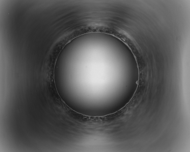 X0000089390919200706151219