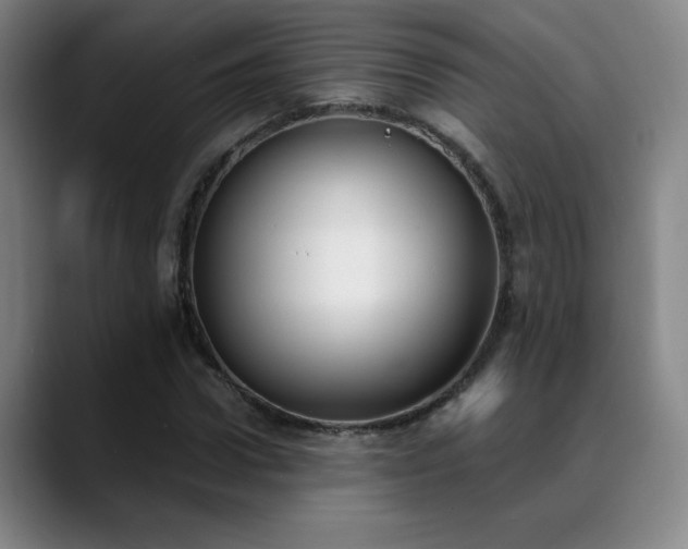 X0000089390922200706151219