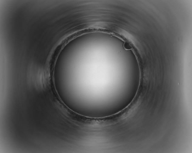 X0000089390923200706151219