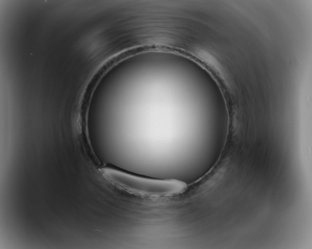 X0000089390924200706151219