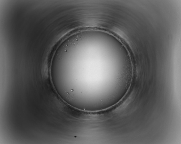 X0000089390925200706151219