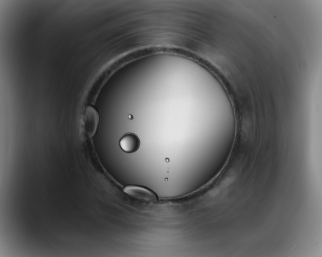 X0000089390926200706151219
