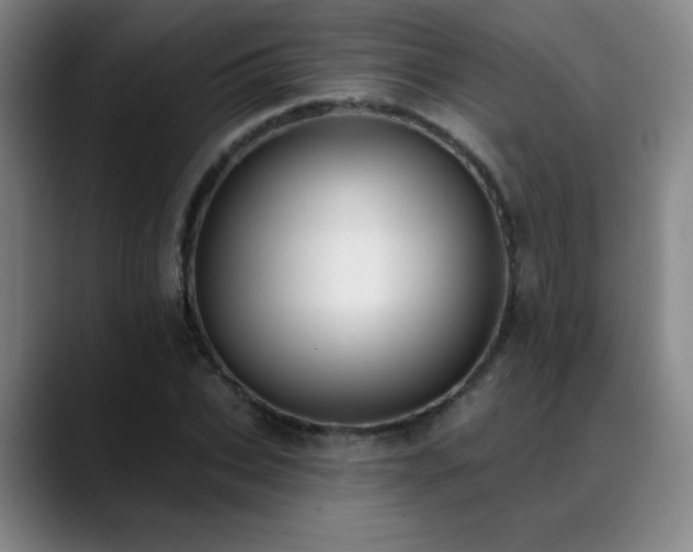 X0000089390927200706151219