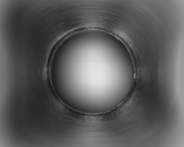X0000089390928200706151219