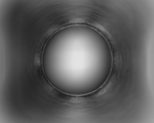 X0000089390929200706151219