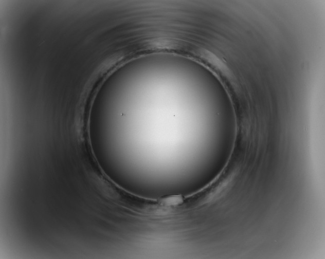 X0000089390930200706151219