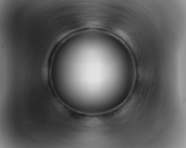 X0000089390931200706151219