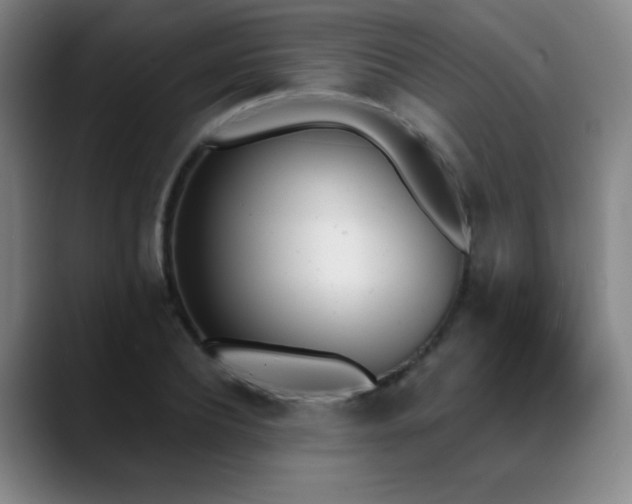 X0000089390932200706151219