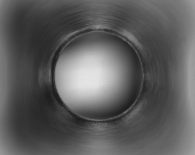 X0000089390934200706151219
