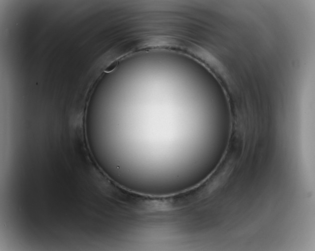 X0000089390937200706151219