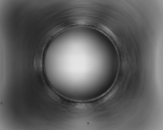 X0000089390938200706151219