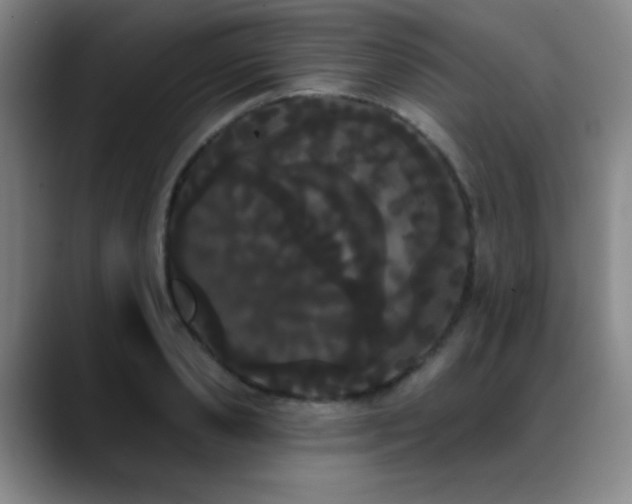 X0000089390941200706151220