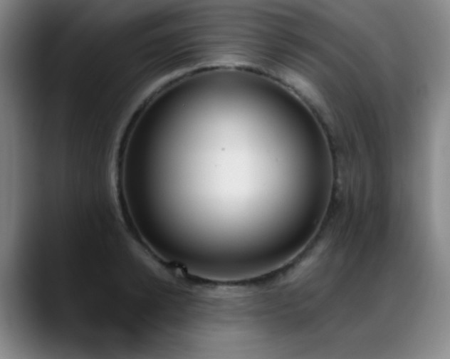 X0000089390942200706151220