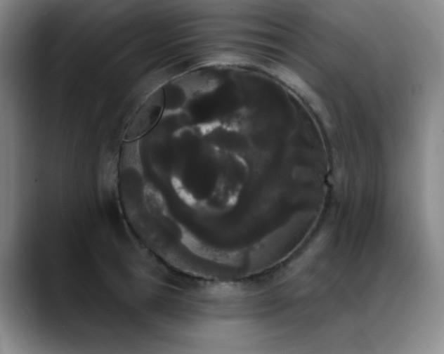 X0000089390945200706151220