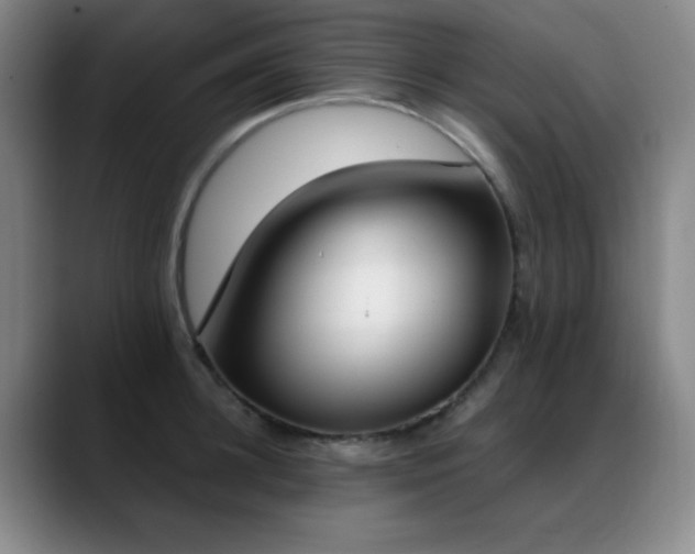 X0000089390948200706151220