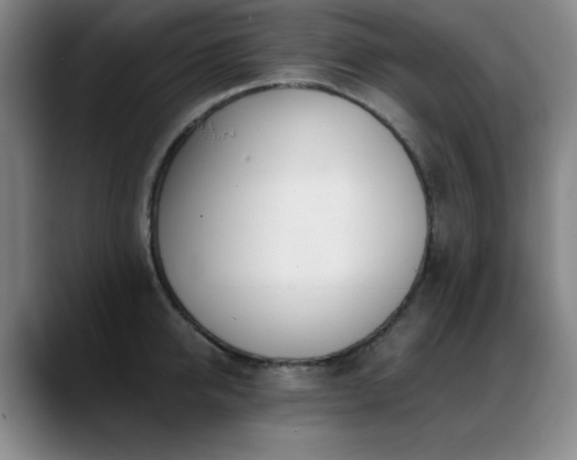 X0000089390950200706151220