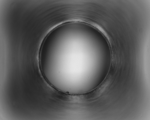 X0000089390951200706151220