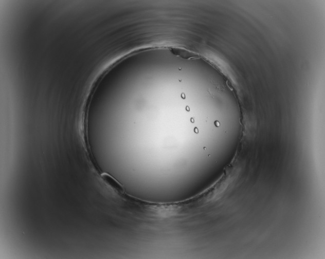 X0000089390952200706151220