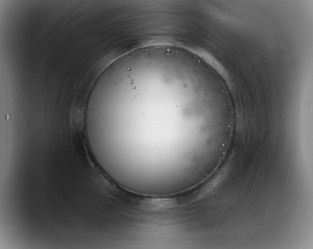 X0000089390953200706151220