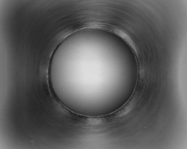 X0000089390954200706151220
