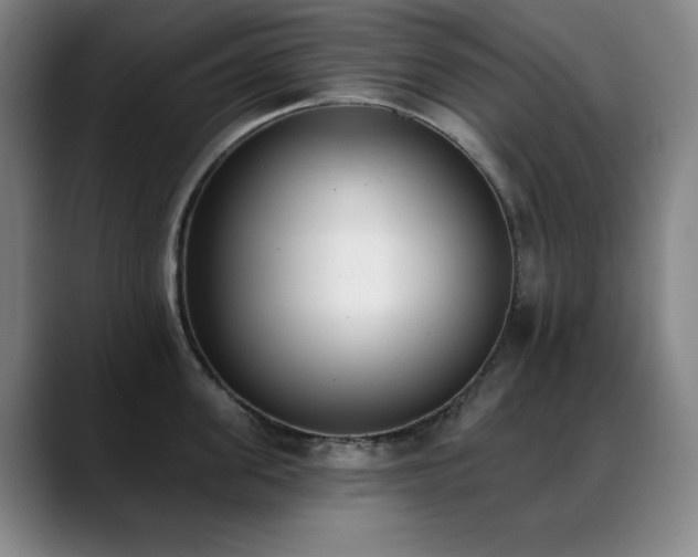 X0000089390955200706151220