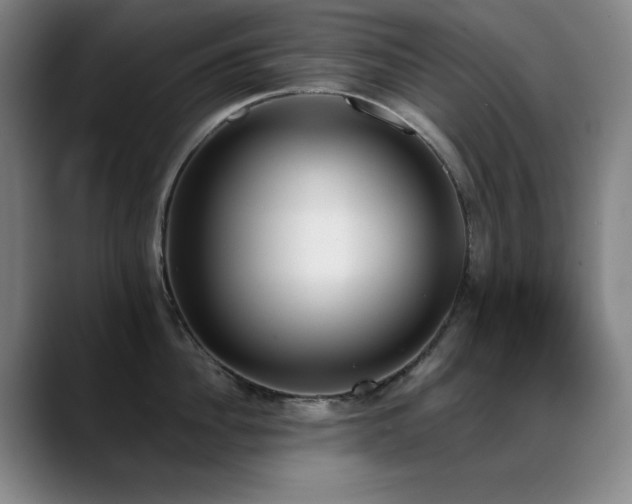 X0000089390956200706151220