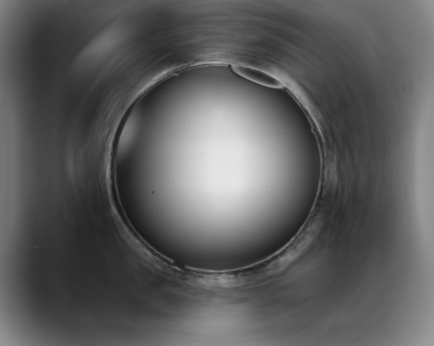 X0000089390957200706151220