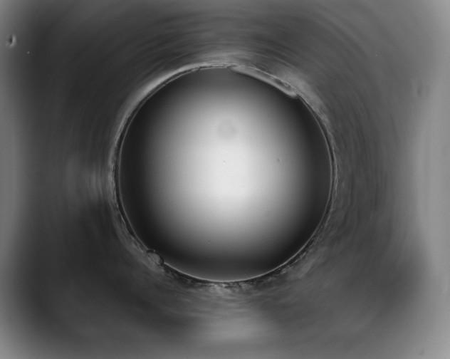 X0000089390960200706151220