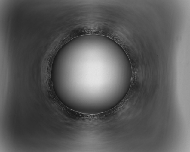 X0000089390961200706151219