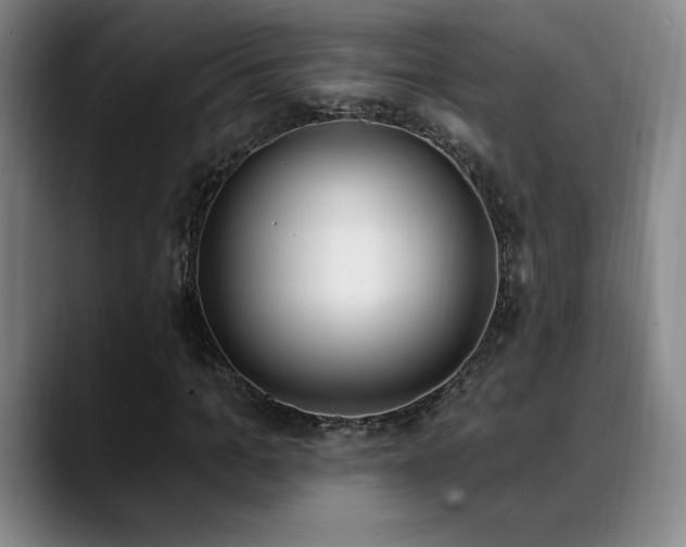 X0000089390965200706151219