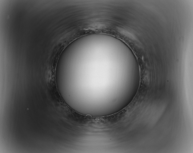 X0000089390966200706151219