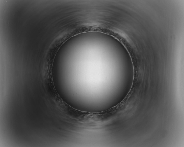 X0000089390967200706151219