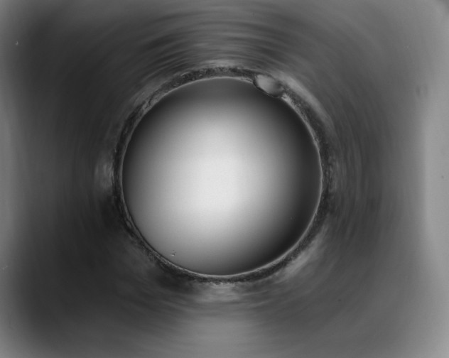 X0000089390969200706151219