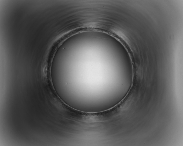 X0000089390971200706151219