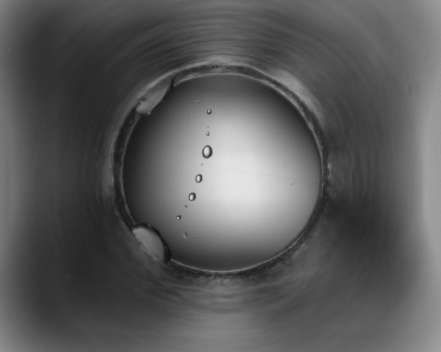 X0000089390972200706151219