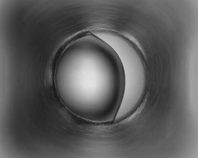 X0000089390973200706151219