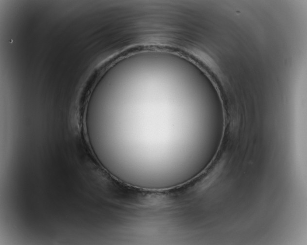 X0000089390974200706151219