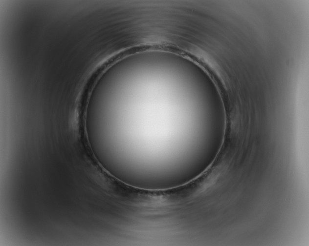 X0000089390975200706151219