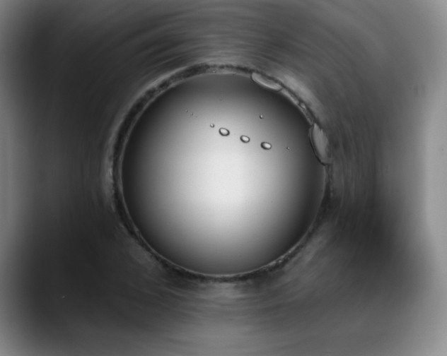 X0000089390976200706151219