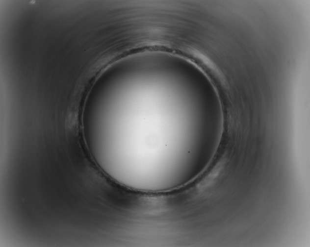X0000089390977200706151219