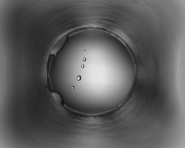 X0000089390980200706151219