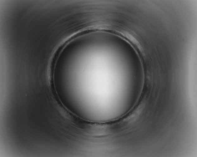 X0000089390981200706151219