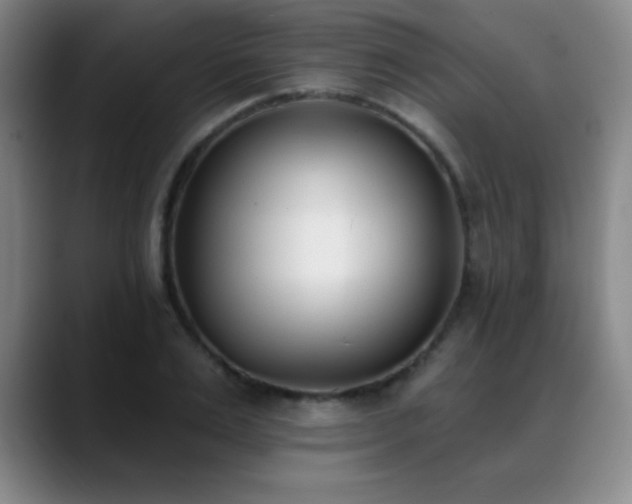 X0000089390983200706151219