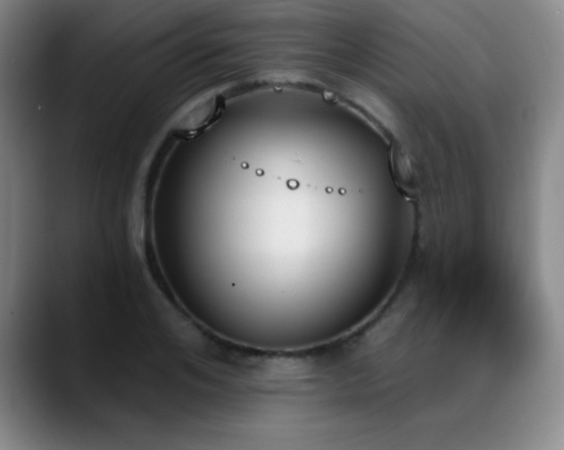 X0000089390984200706151219