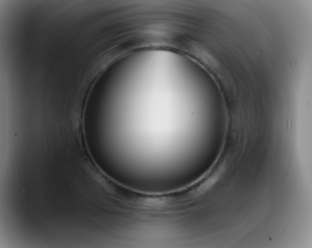 X0000089390985200706151219