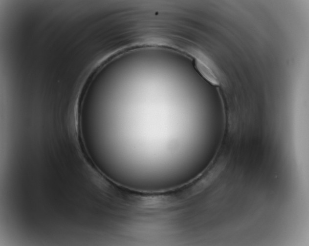 X0000089390988200706151219