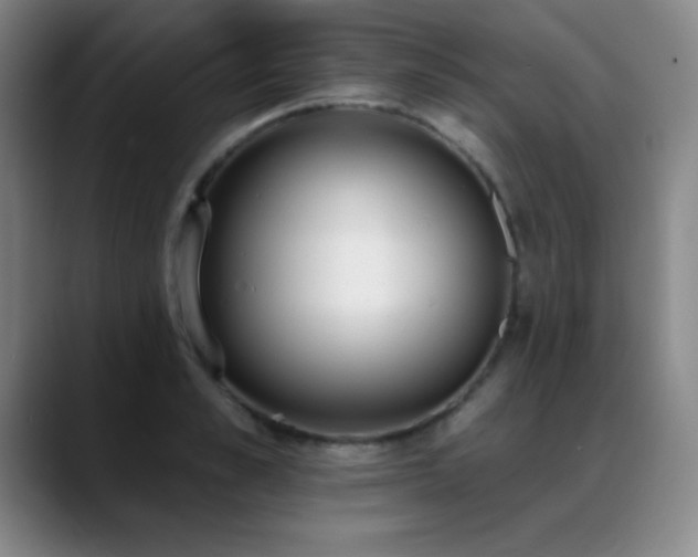 X0000089390989200706151219